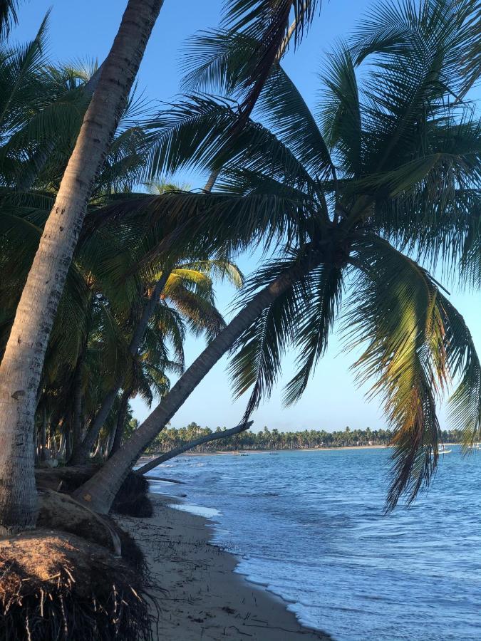 Le Petit Suítes Praia de Lages Pôrto de Pedras Exterior foto