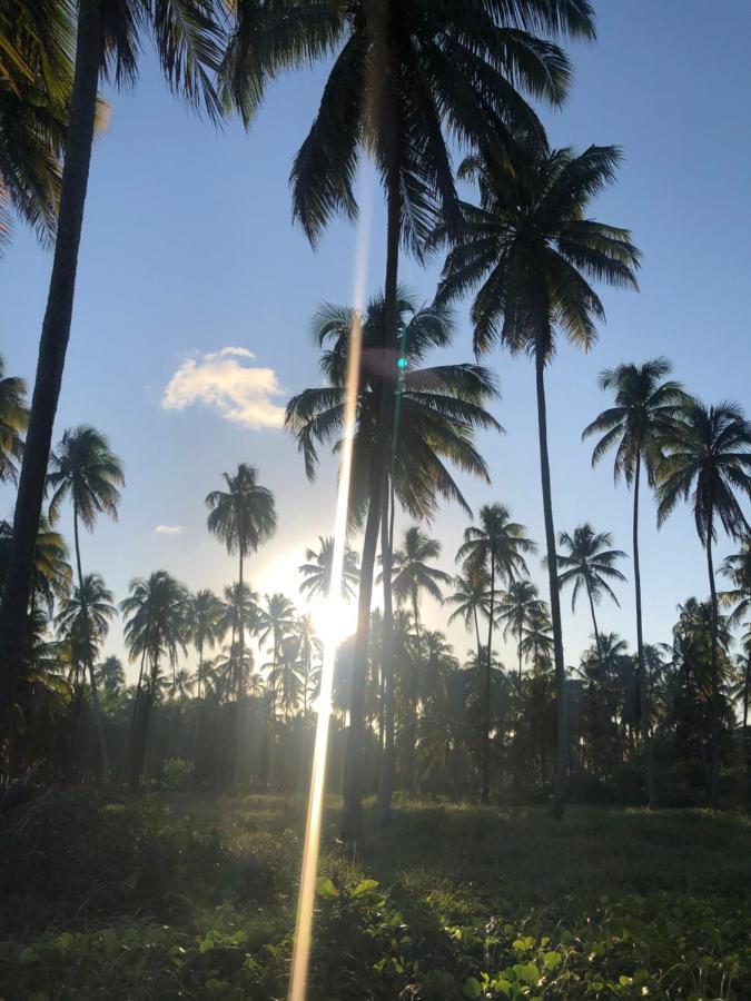 Le Petit Suítes Praia de Lages Pôrto de Pedras Exterior foto