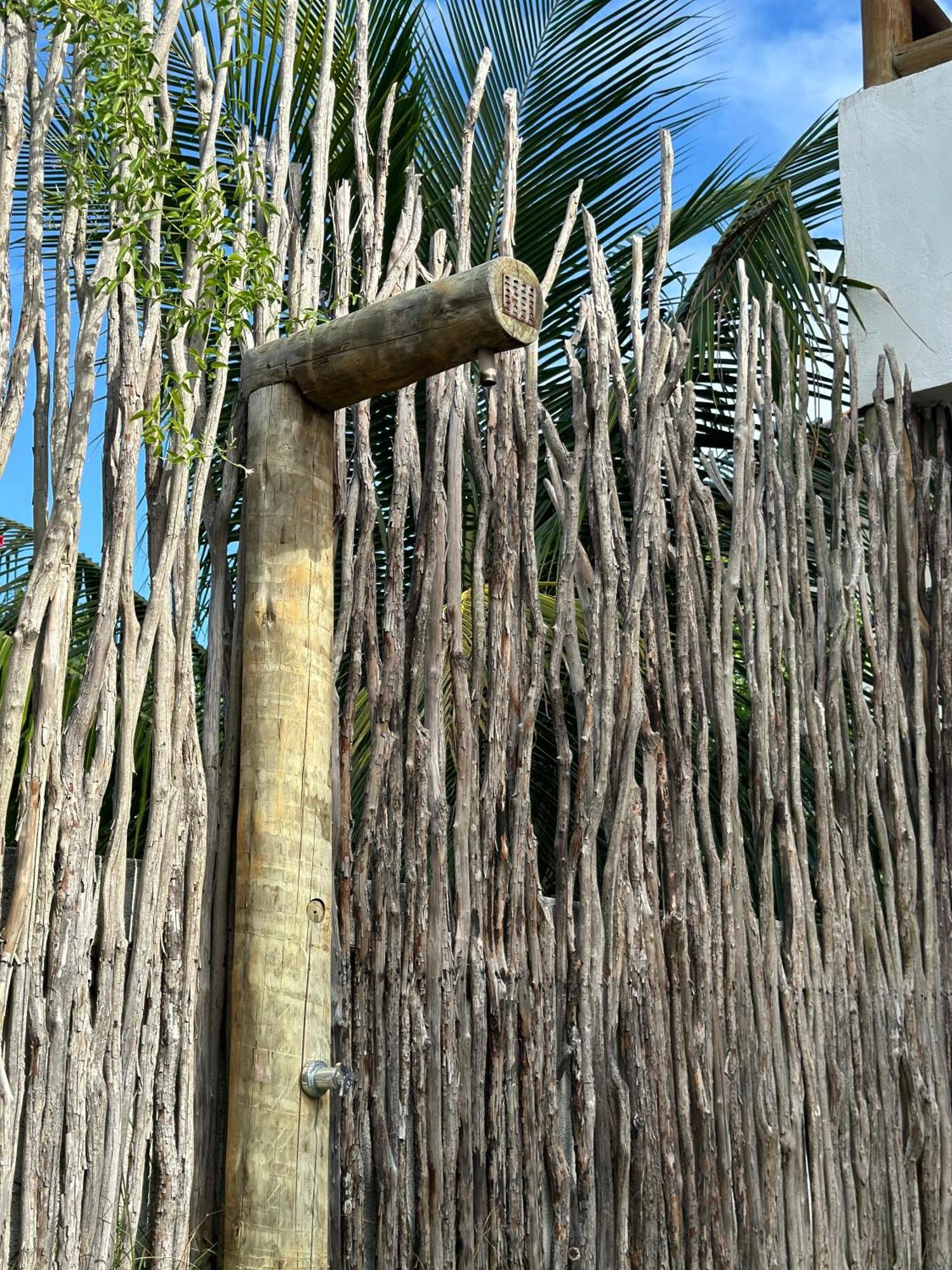 Le Petit Suítes Praia de Lages Pôrto de Pedras Exterior foto